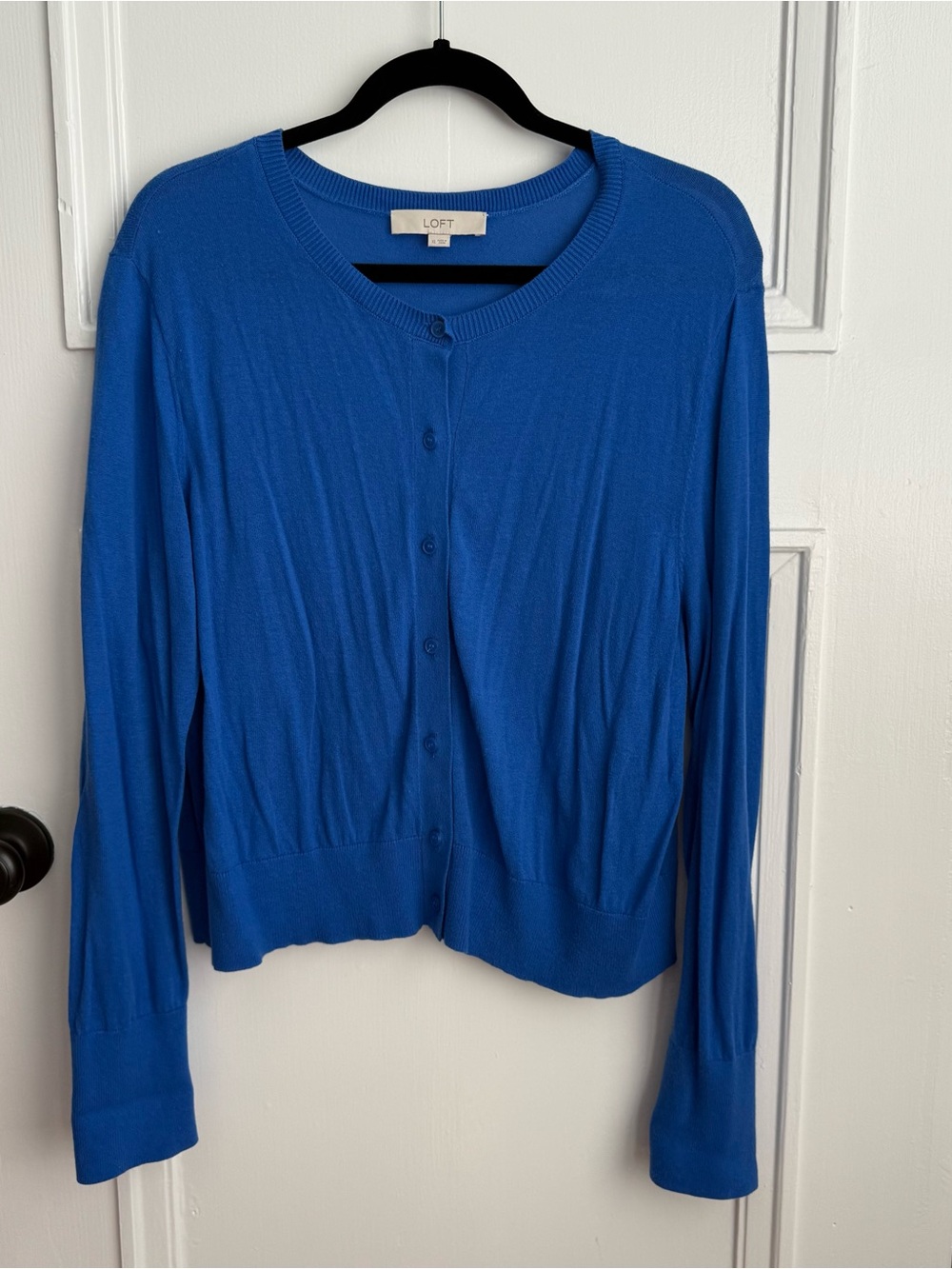 Blue Loft cardigan
